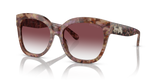 Petal Tortoise