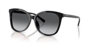 Black  - Dark Grey Gradient Polarized