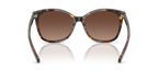 Dark Tortoise