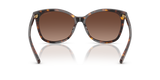Dark Tortoise
