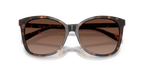 Dark Tortoise