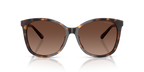 Dark Tortoise