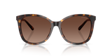 Dark Tortoise