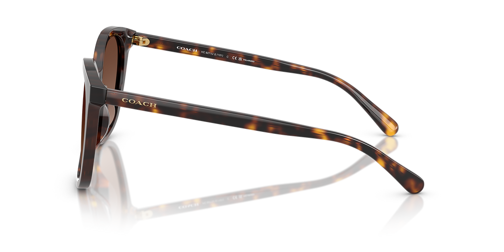 Dark Tortoise