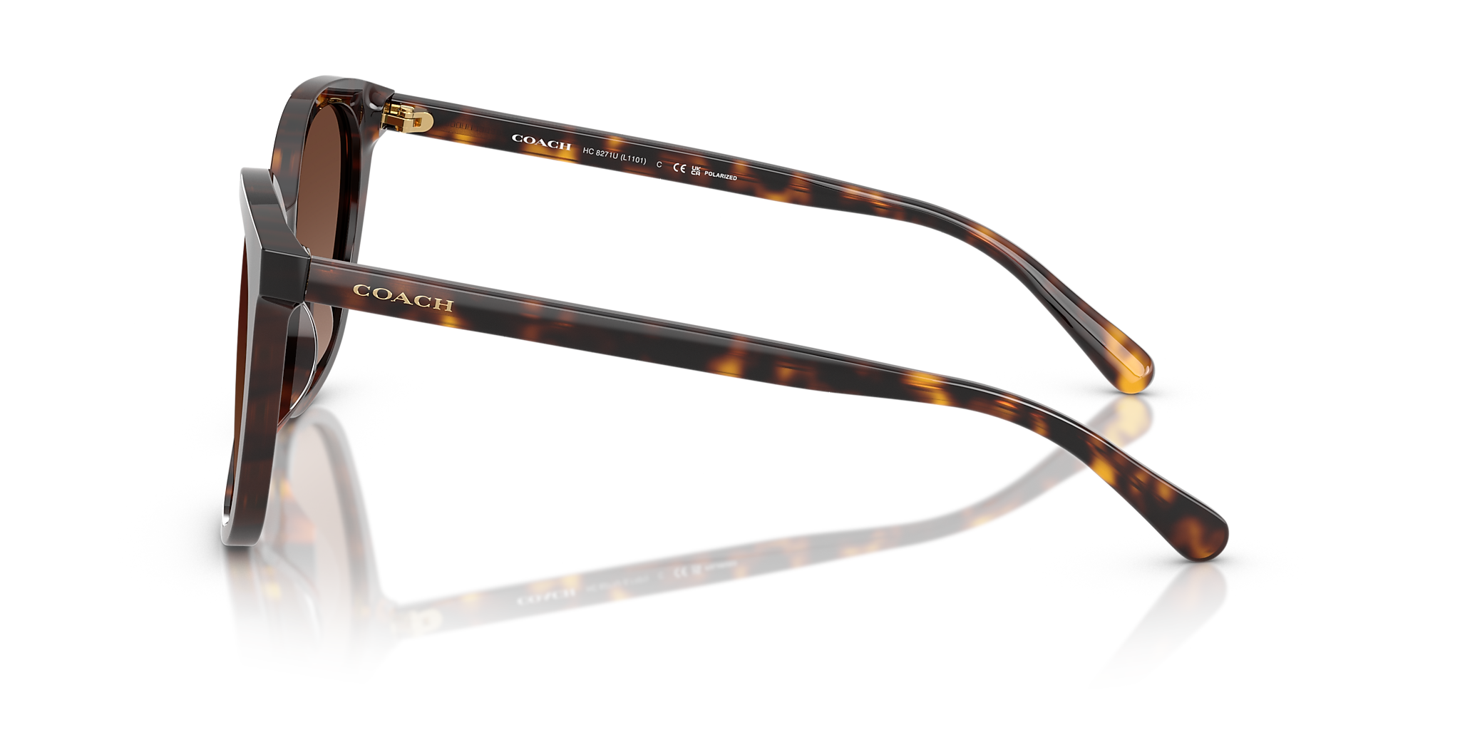 Dark Tortoise