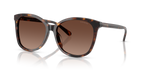 Dark Tortoise