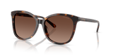 Dark Tortoise