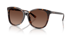 Dark Tortoise  - Dark Brown Gradient Polarized