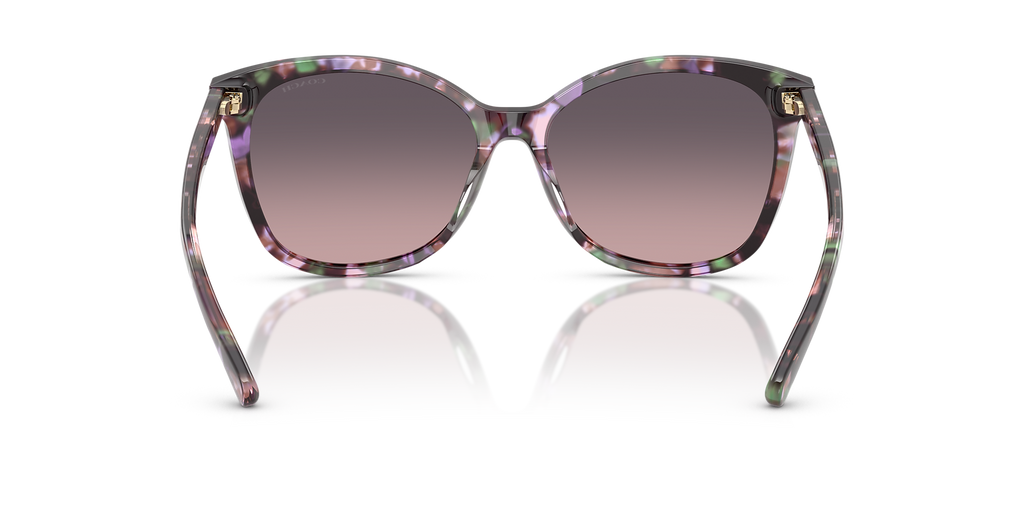 Amethyst Pearl Tortoise