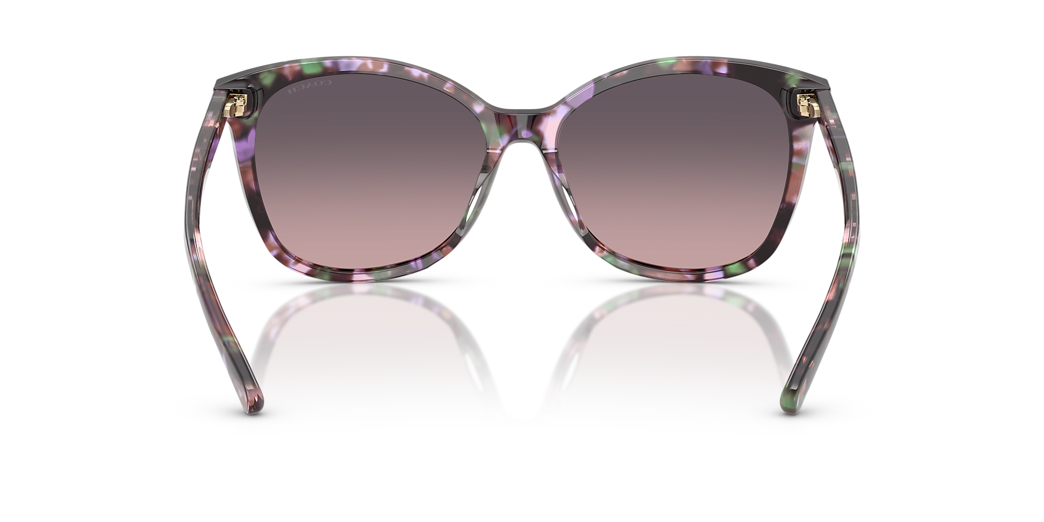 Amethyst Pearl Tortoise