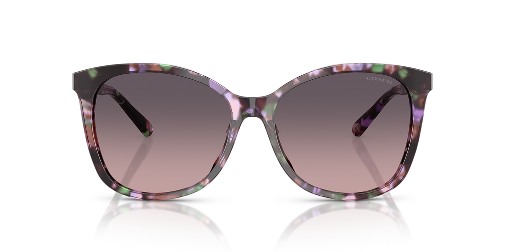 Amethyst Pearl Tortoise