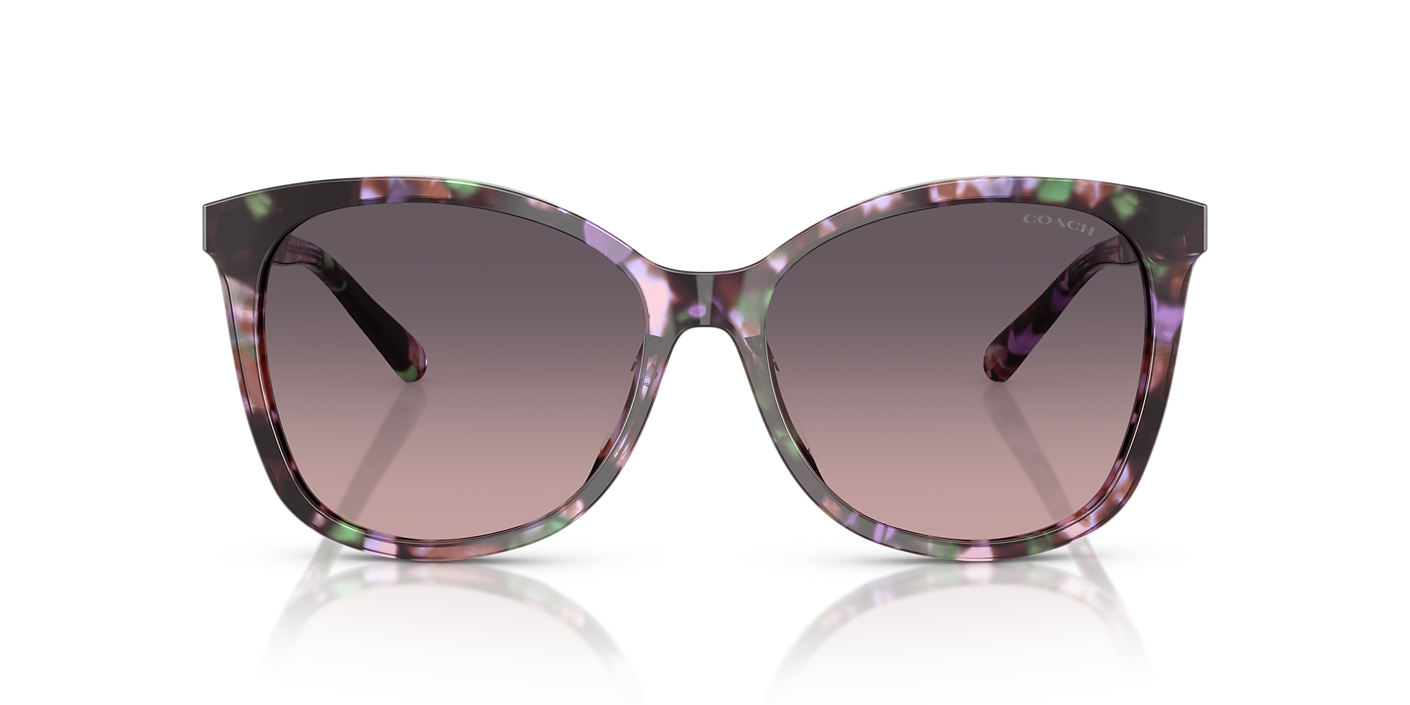 Amethyst Pearl Tortoise