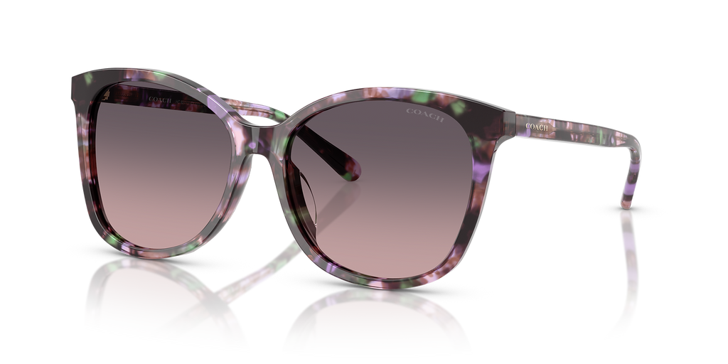 Amethyst Pearl Tortoise