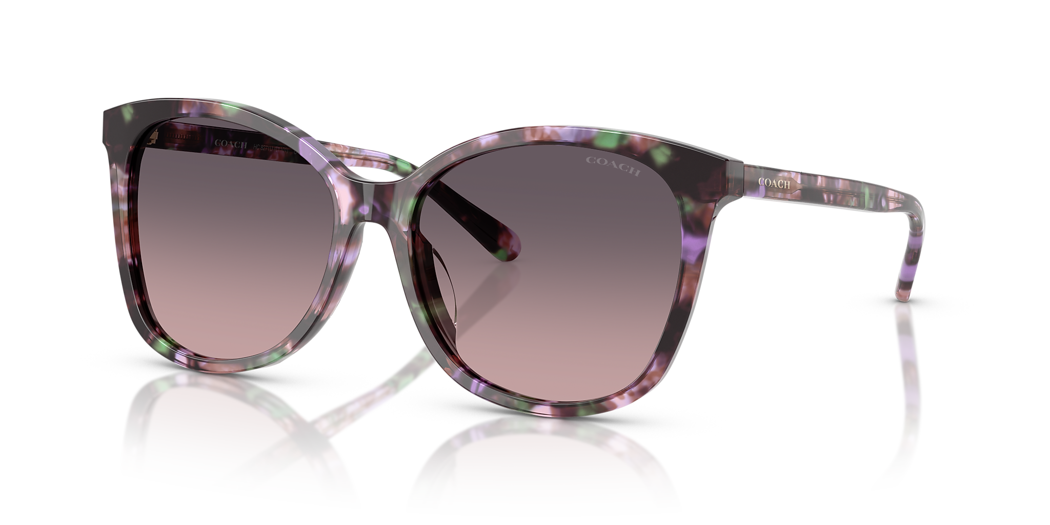 Amethyst Pearl Tortoise