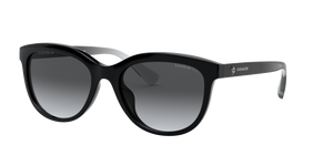 Black  - Light Grey Gradient Dark Grey Polarized