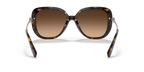 Dark Tortoise