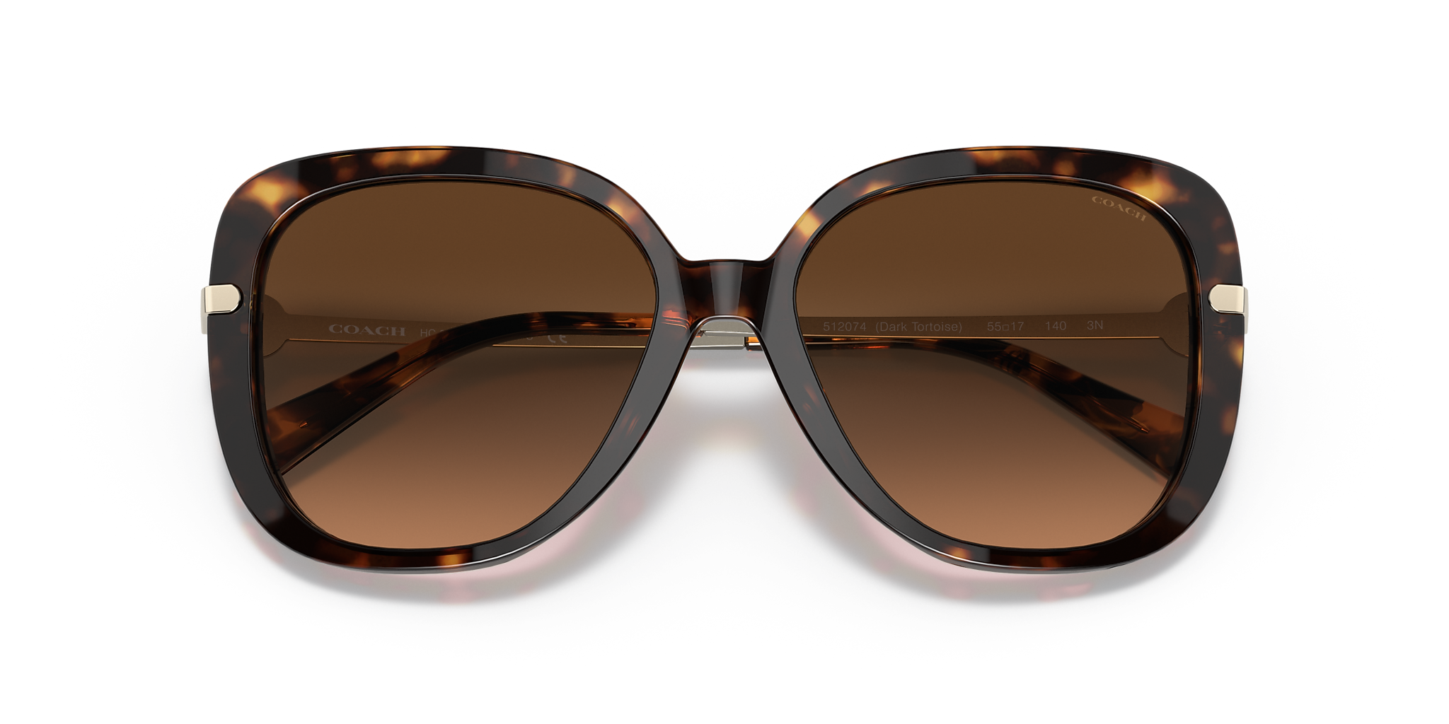 Dark Tortoise