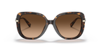Dark Tortoise