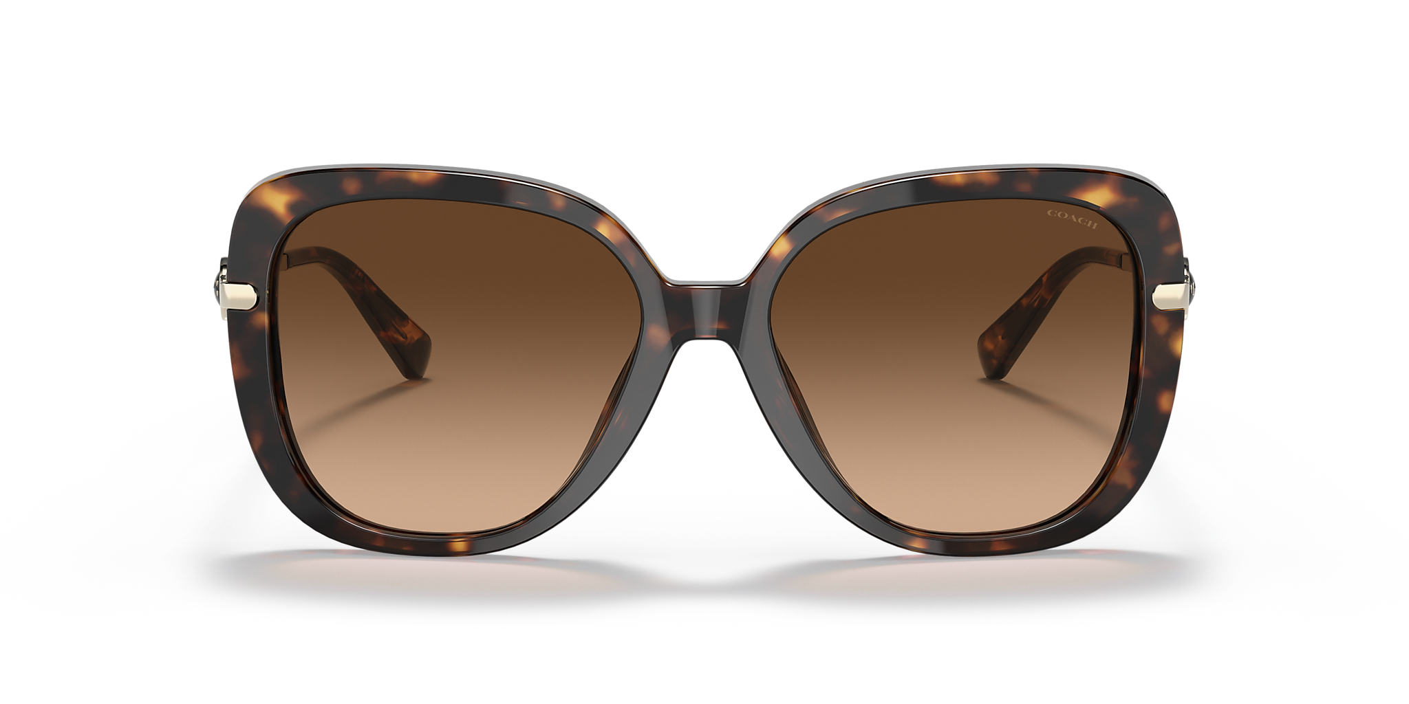 Dark Tortoise