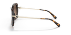 Dark Tortoise