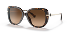 Dark Tortoise
