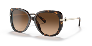 Dark Tortoise  - Dark Brown Gradient