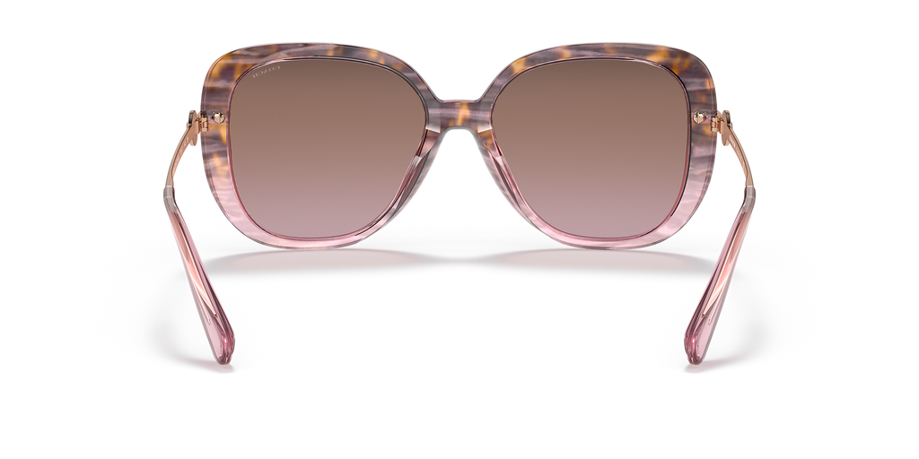 Rose Tortoise Gradient