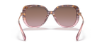 Rose Tortoise Gradient
