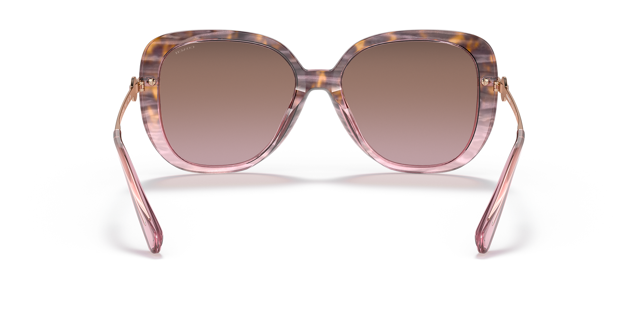 Rose Tortoise Gradient