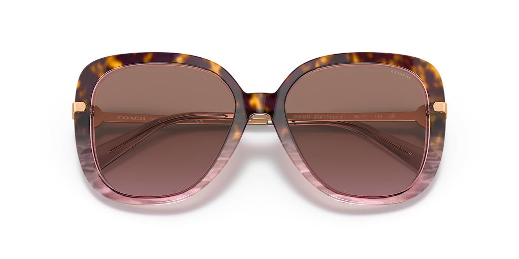 Rose Tortoise Gradient