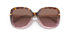 Rose Tortoise Gradient
