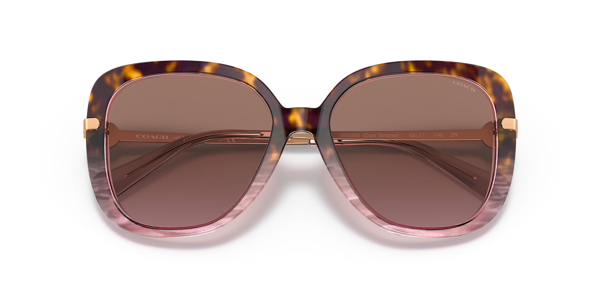Rose Tortoise Gradient