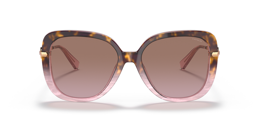 Rose Tortoise Gradient