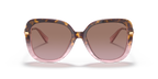 Rose Tortoise Gradient