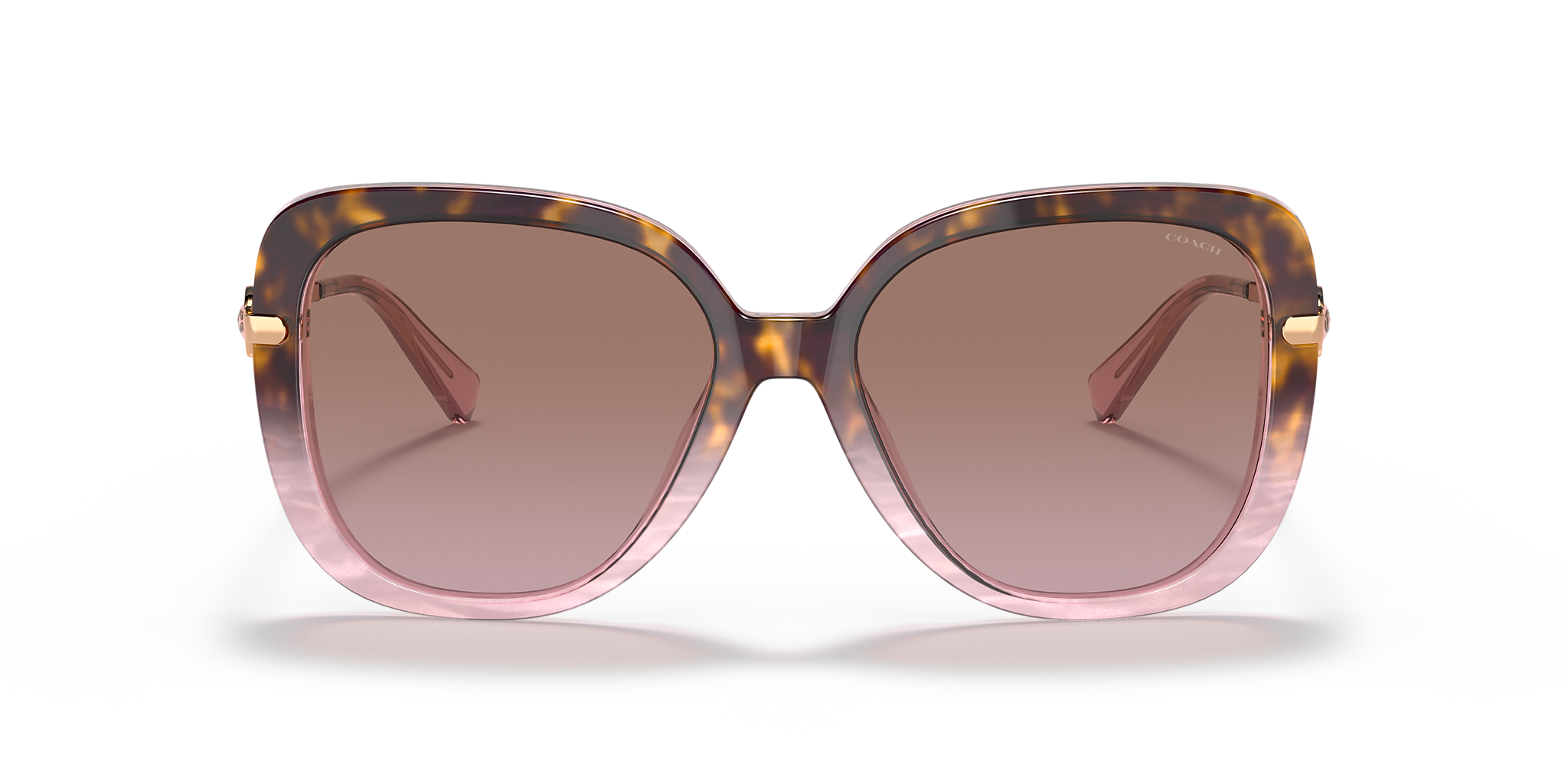Rose Tortoise Gradient