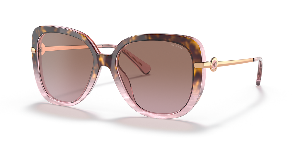 Rose Tortoise Gradient
