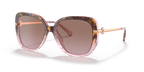 Rose Tortoise Gradient