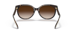 Dark Tortoise