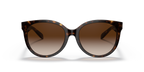 Dark Tortoise