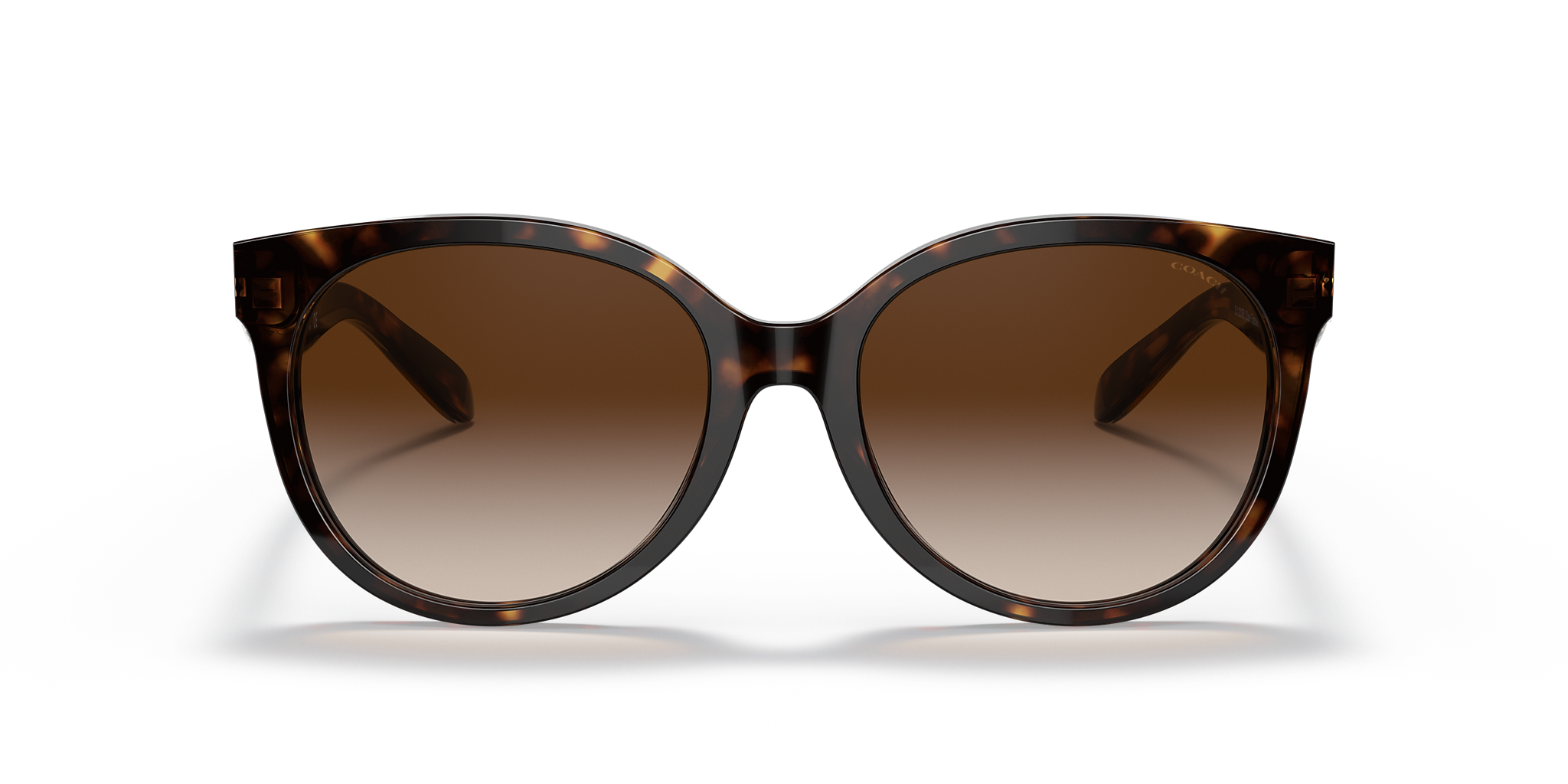 Dark Tortoise