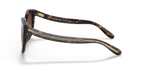 Dark Tortoise