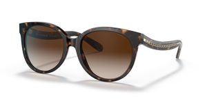 Dark Tortoise  - Brown Gradient