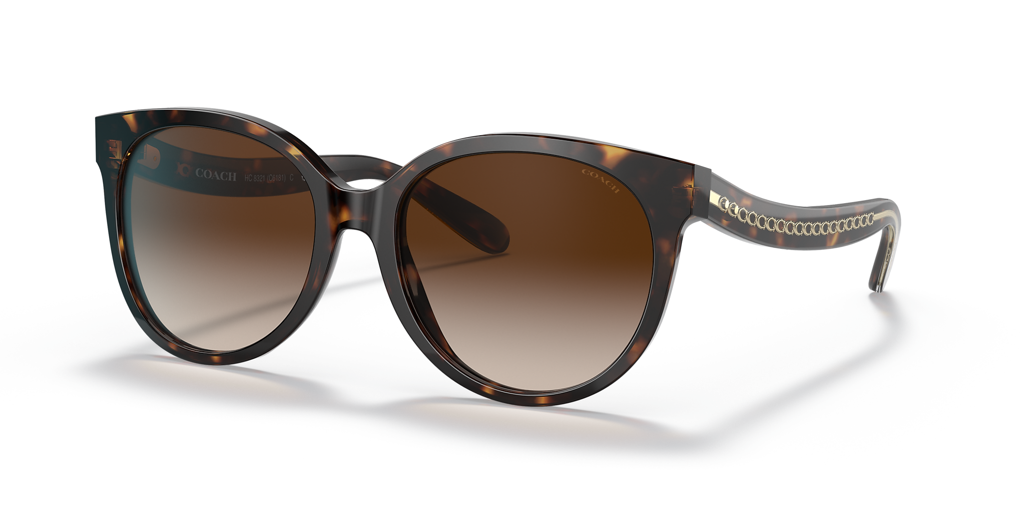 Dark Tortoise