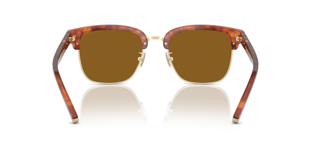 Caramel Tortoise/Light Gold