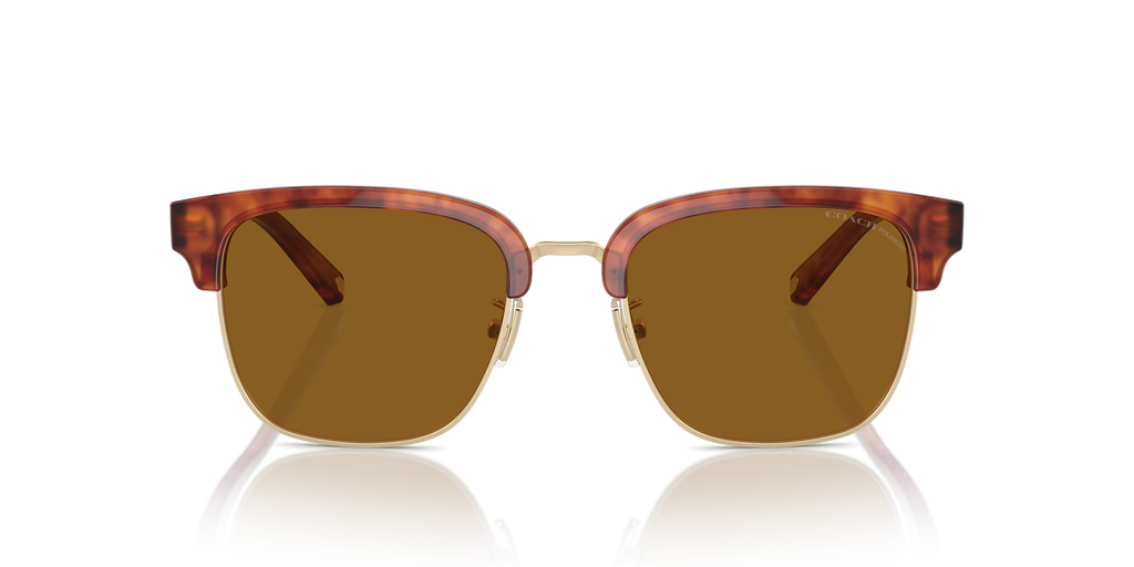 Caramel Tortoise/Light Gold