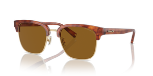 Caramel Tortoise/Light Gold  - Brown Solid Polarized