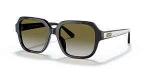 Black  - Olive Gradient