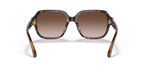 Dark Tortoise