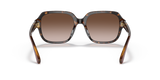 Dark Tortoise