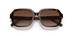 Dark Tortoise
